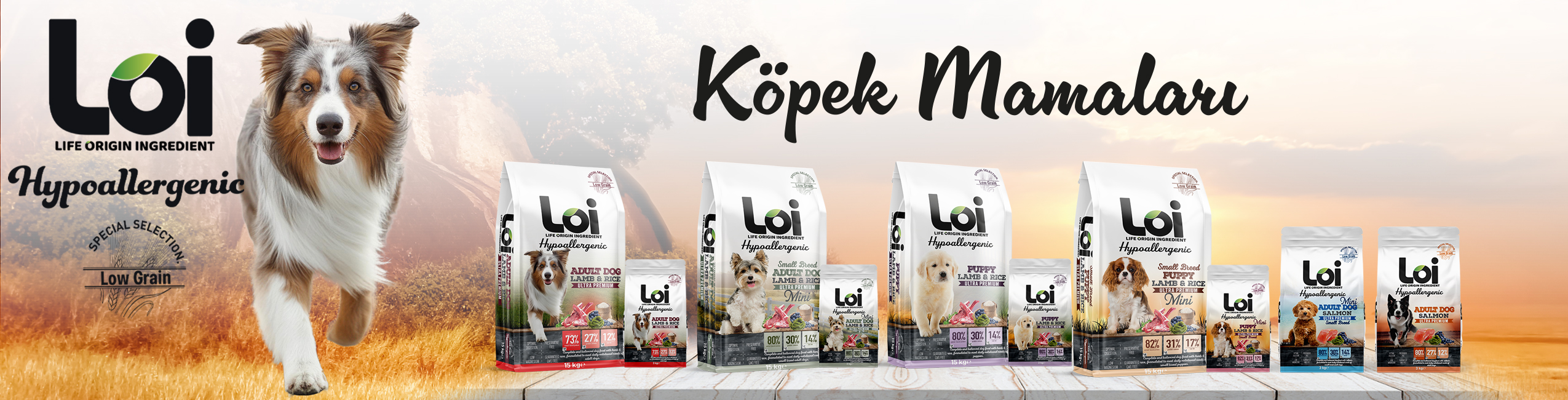 loi-banner-3.jpg (1.07 MB)