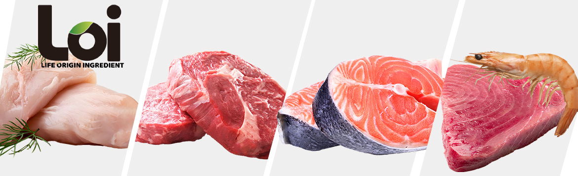 loi-banner.jpg (168 KB)