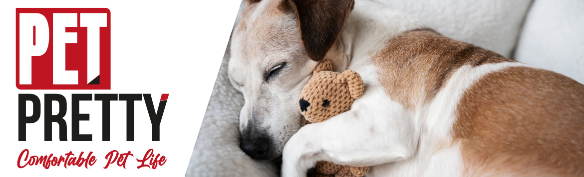 petpretty-banner.jpg (137 KB)