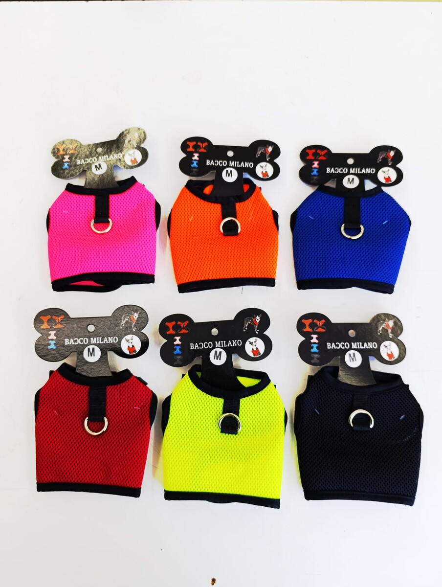  - BACCO MİLANO KEDİ GÖĞÜS TASMA M