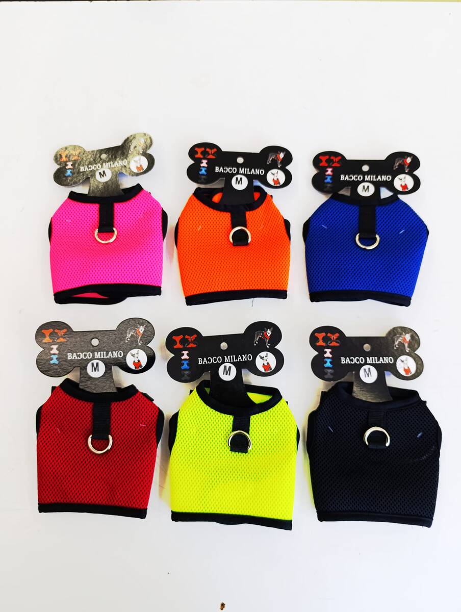 BACCO MİLANO KEDİ GÖĞÜS TASMA M