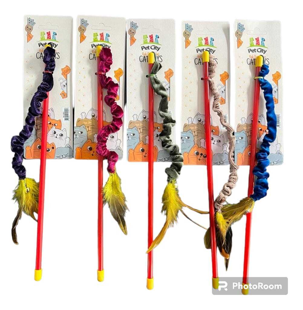 Cat Toys Lastik İpli Olta 
