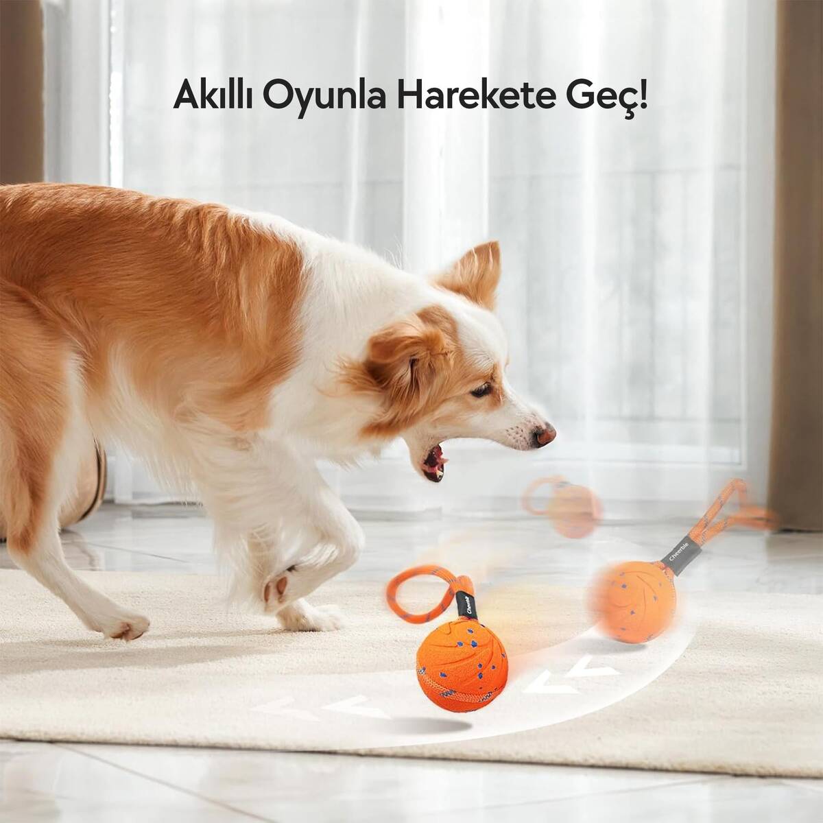 CHEERBLE AKILLI İNTERAKTİF KÖPEK OYUNCAĞI İPLİ TURUNCU 7X7X7 CM