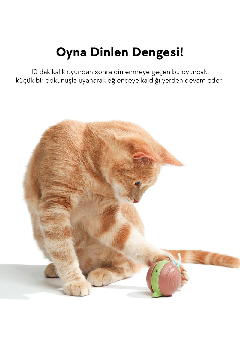 CHEERBLE ŞARJLI AKILLI İNTERAKTİF KEDİ SALYANGOZ OYUNCAĞI KAHVERENGİ 7X5X5,8 CM - Thumbnail