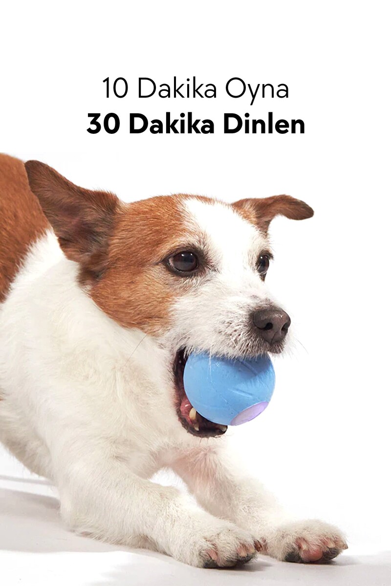 CHEERBLE ŞARJLI AKILLI İNTERAKTİF KÖPEK OYUN TOPU TURUNCU SMALL 5,5 CM - Thumbnail
