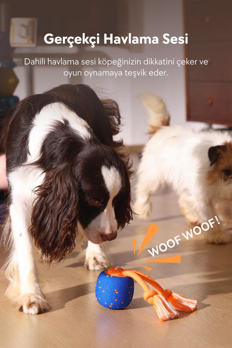 CHEERBLE WİCKED BALL ROLLY ŞARJLI İNTERAKTİF KÖPEK OYUNCAK TOPU MAVİ - Thumbnail