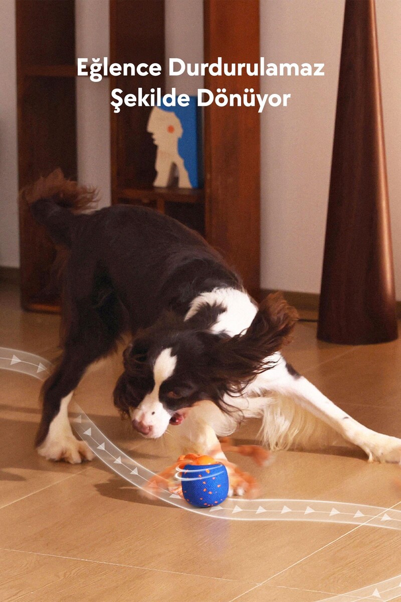 CHEERBLE WİCKED BALL ROLLY ŞARJLI İNTERAKTİF KÖPEK OYUNCAK TOPU MAVİ - Thumbnail