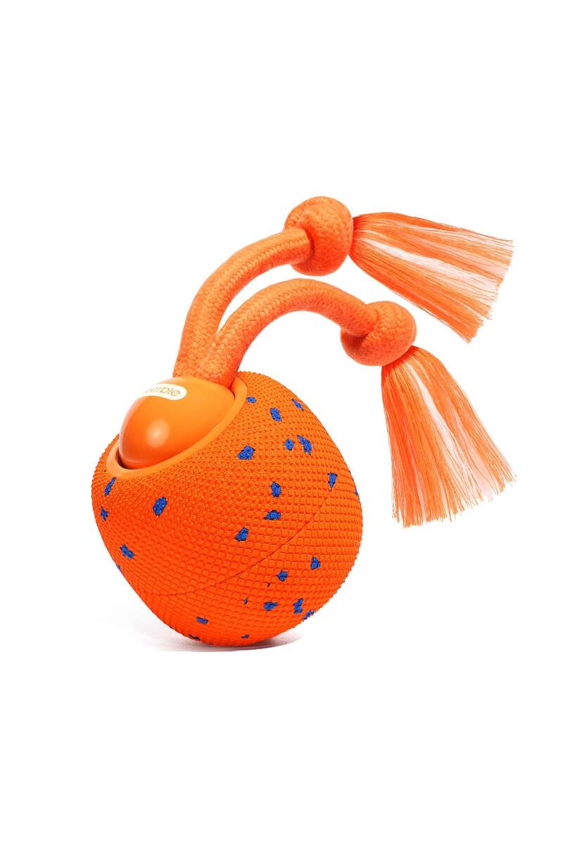CHEERBLE WİCKED BALL ROLLY ŞARJLI İNTERAKTİF KÖPEK OYUNCAK TOPU TURUNCU