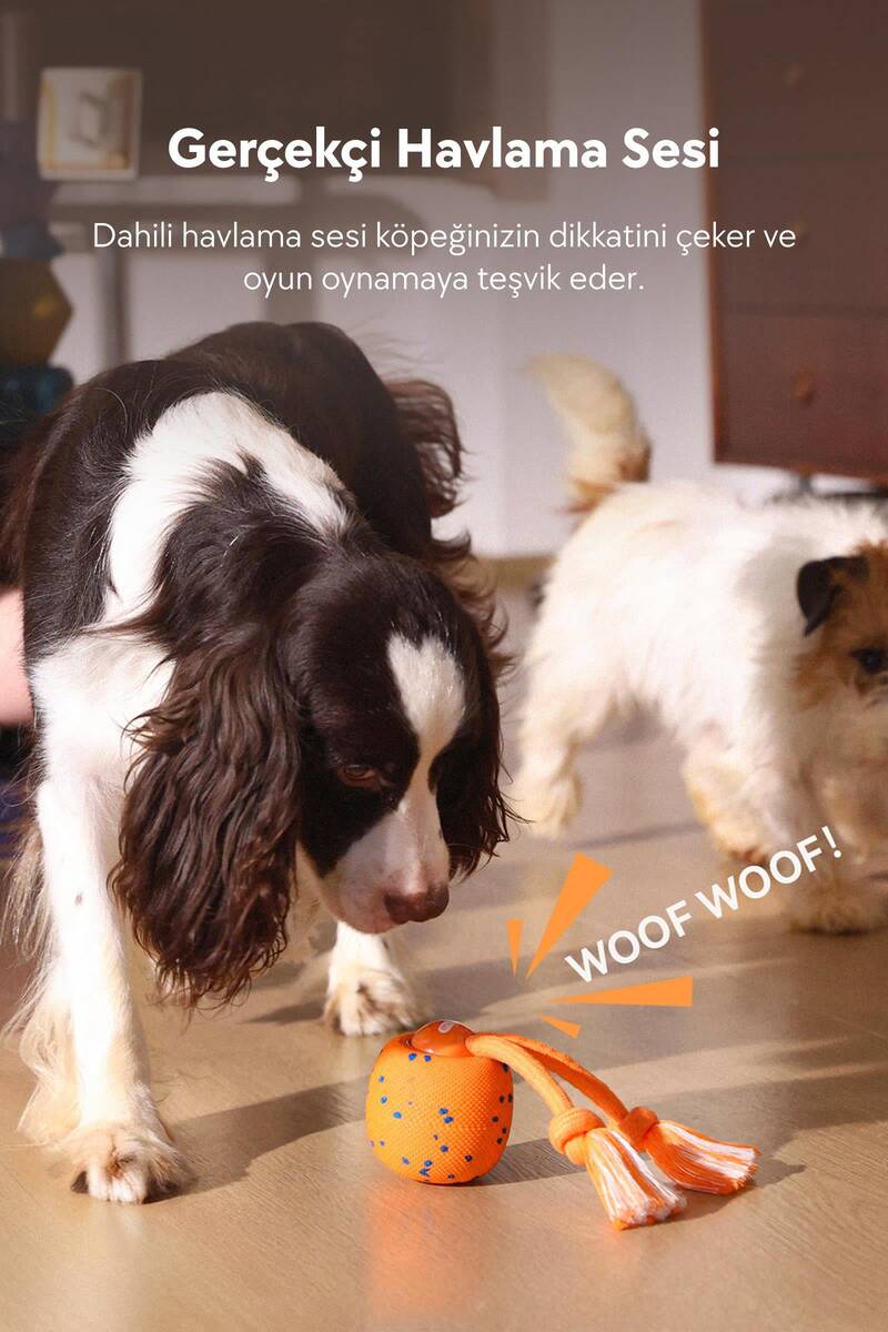 CHEERBLE WİCKED BALL ROLLY ŞARJLI İNTERAKTİF KÖPEK OYUNCAK TOPU TURUNCU