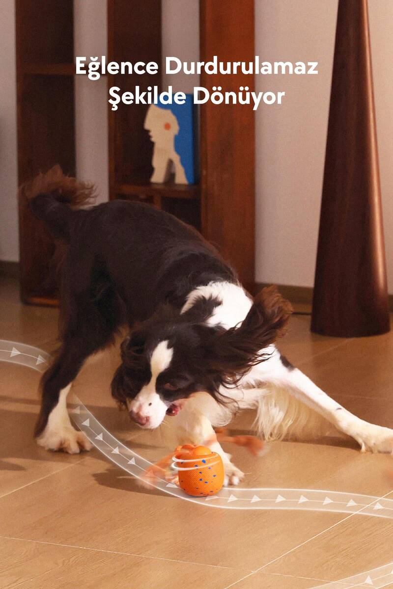 CHEERBLE WİCKED BALL ROLLY ŞARJLI İNTERAKTİF KÖPEK OYUNCAK TOPU TURUNCU