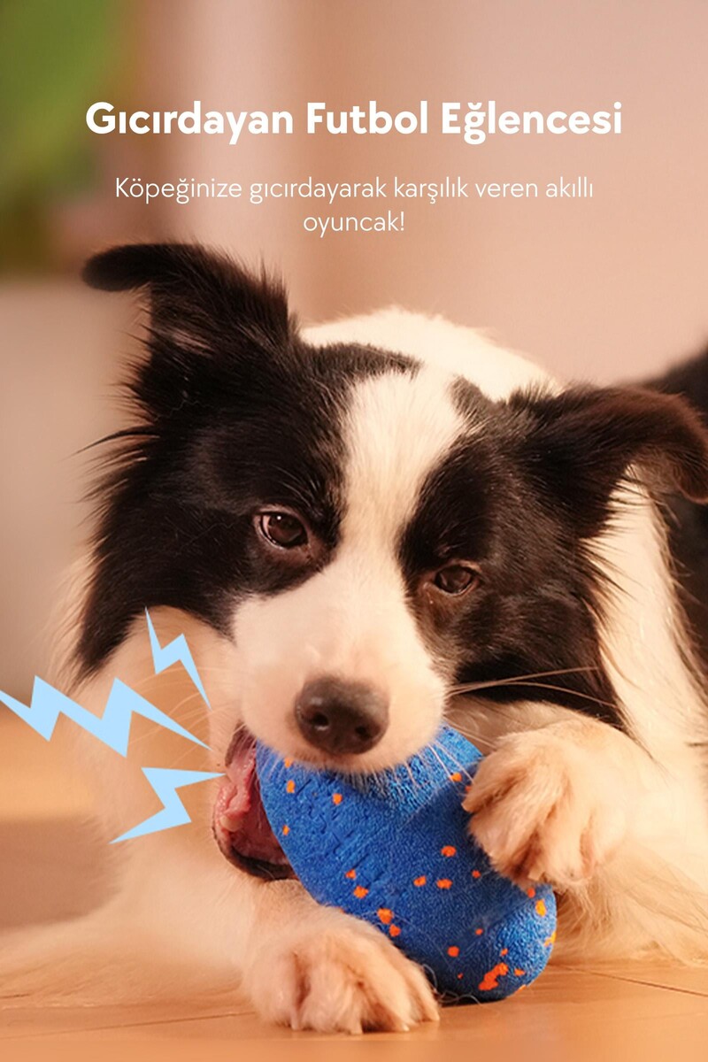 CHEERBLE WİCKED RUGBY ŞARJLI HAREKETLİ KÖPEK OYUNCAK TOPU MAVİ - Thumbnail