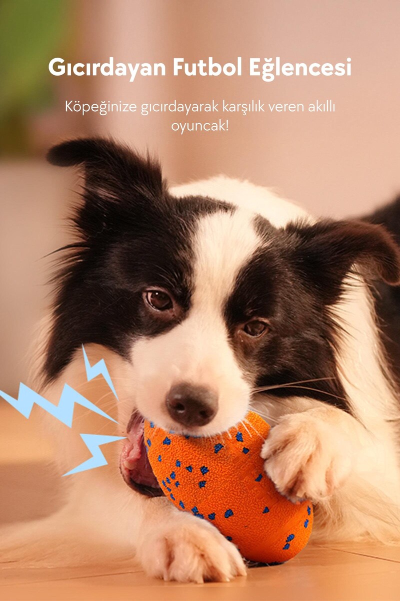 CHEERBLE WİCKED RUGBY ŞARJLI HAREKETLİ KÖPEK OYUNCAK TOPU TURUNCU - Thumbnail