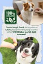 CHURU FUN BİTES STİCKS TAVUK SARGILI KÖPEK ÖDÜL MAMASI 22GR 6'LI - Thumbnail