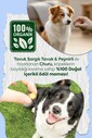 CHURU FUN BİTES STİCKS TAVUK SARGILI&PEYNİRLİ KÖPEK ÖDÜL 22GR 6'LI - Thumbnail