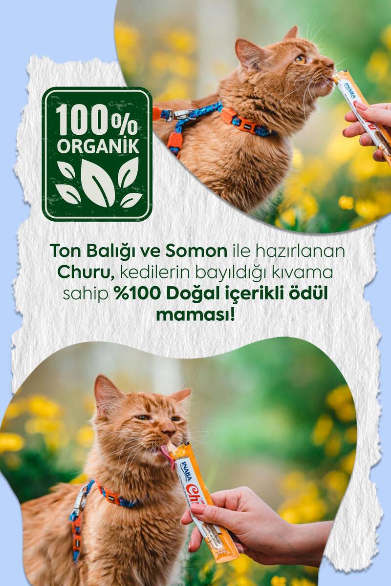 CİAO CHURU TON BALIK VE SOMON KEDİ KREMASI 4X 14GR