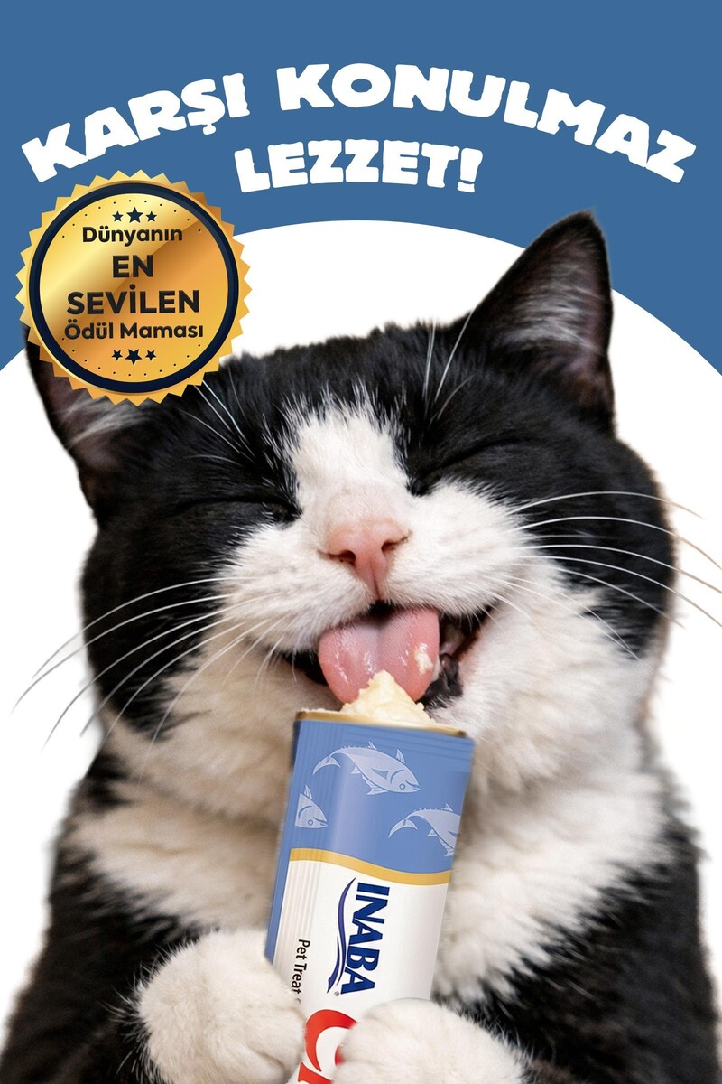 CİAO CHURU YAVRU KEDİLER İÇİN TUNA BALIKLI ÖDÜL 4X14GR 12'Lİ - Thumbnail