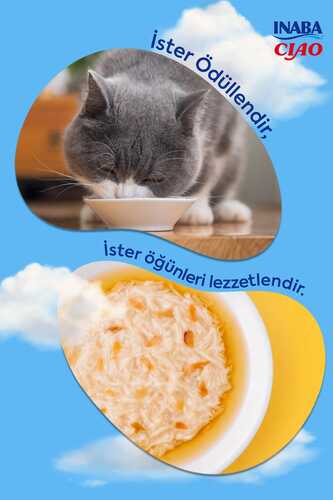 CİAO DASHİ DELİGHTS TAVUKLU KEDİ ÇORBASI 70 GR 6'LI