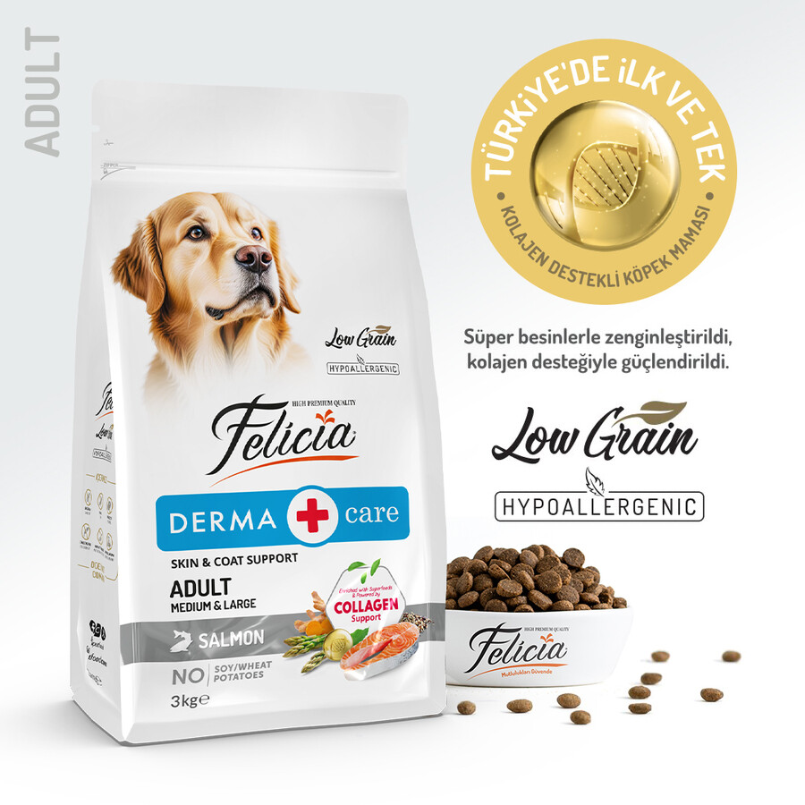 FELICIA - FELİCİA 3 KG KOLAJENLİ SOMONLU AZ TAHILLI M/LARGE YETİŞKİN KÖPEK MAMASI