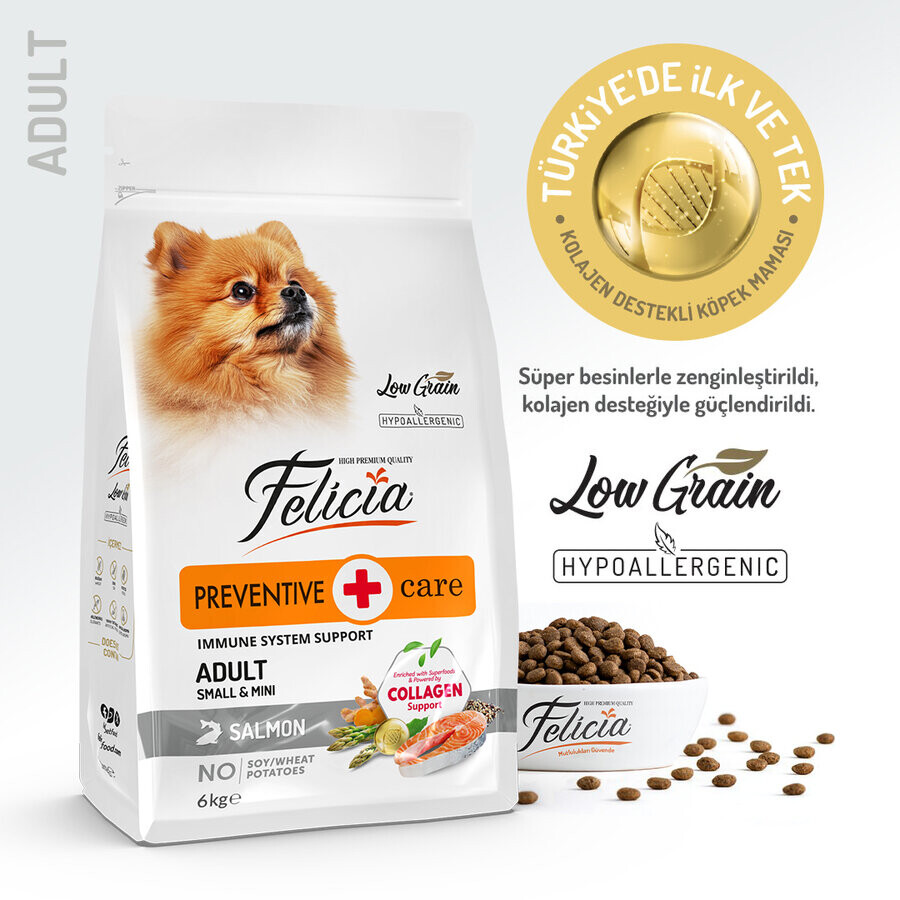 FELICIA - FELİCİA 3 KG KOLAJENLİ SOMONLU AZ TAHILLI SMALL/MİNİ YETİŞKİN KÖPEK MAMASI