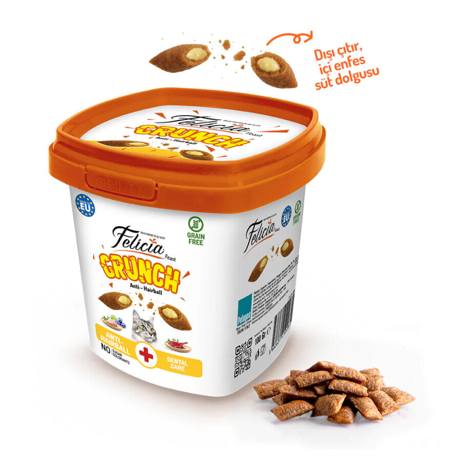 FELICIA - FELİCİA HAİRBALL KEDİ CRUNCH ÖDÜL MAMASI 100 GR 6 ADET