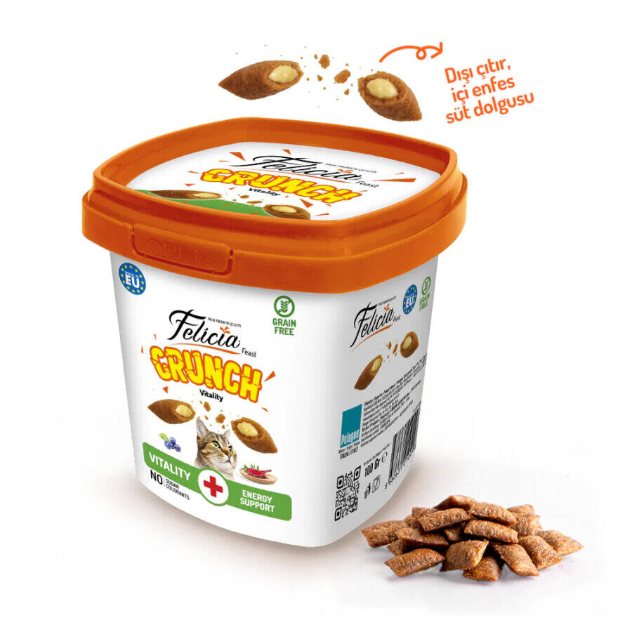 FELİCİA VİTALİTY KEDİ CRUNCH ÖDÜL MAMASI 100 GR 6 ADET