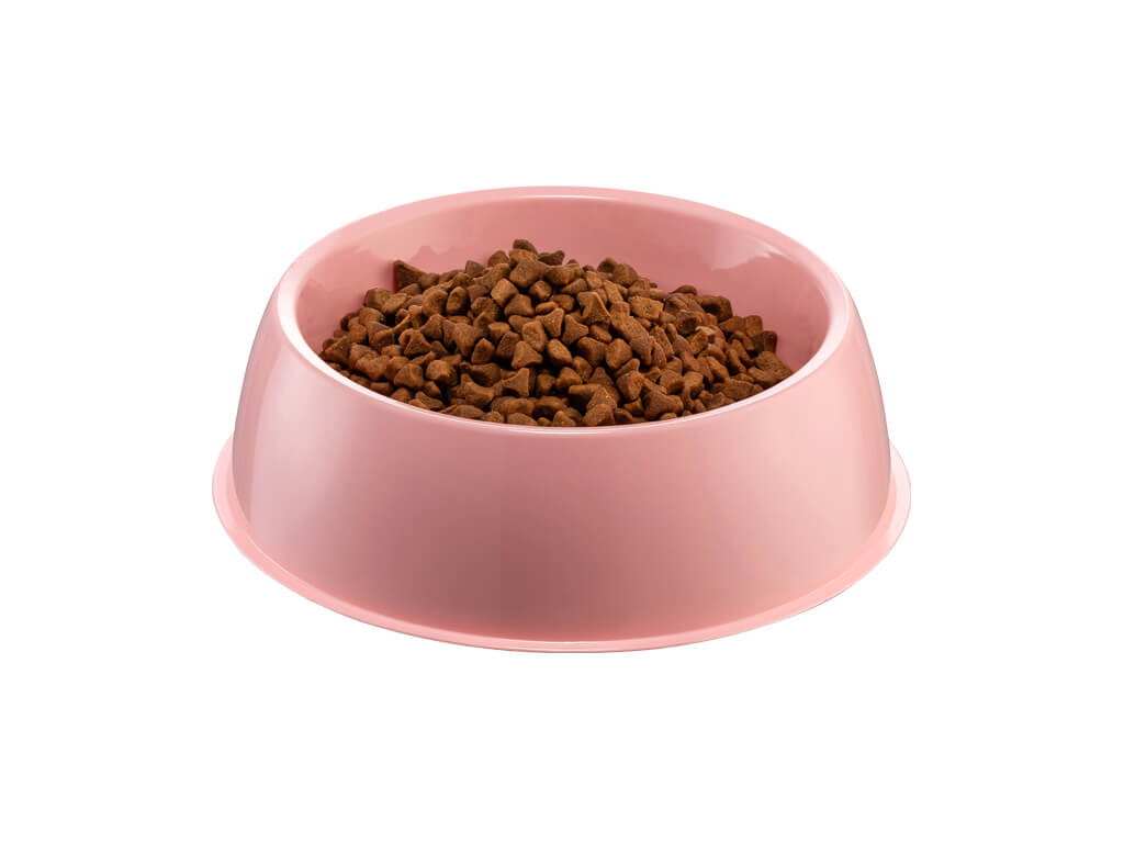 KAYDIRMAZ BÜYÜK YUVARLAK MAMA KABI ŞNY - Thumbnail