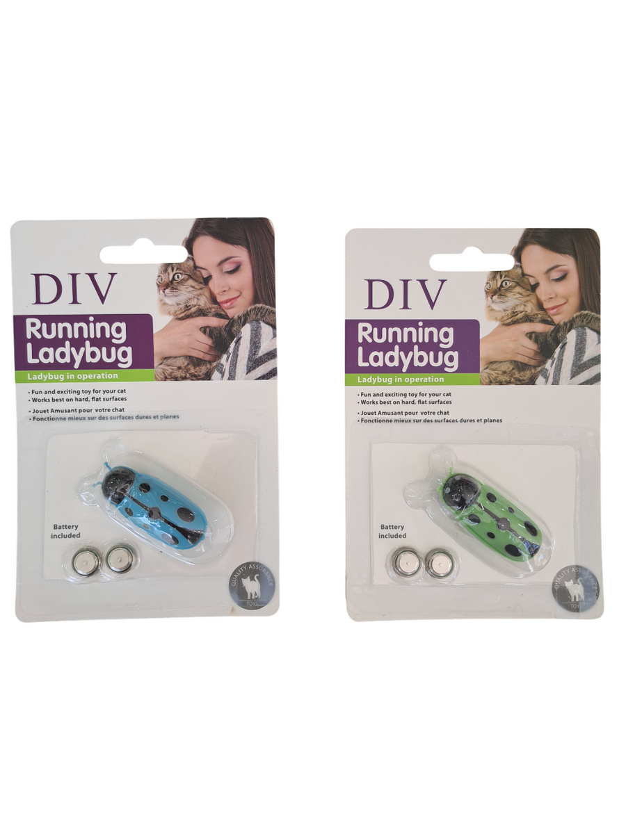  - KEDİ BÖCEK OYUNCAK 