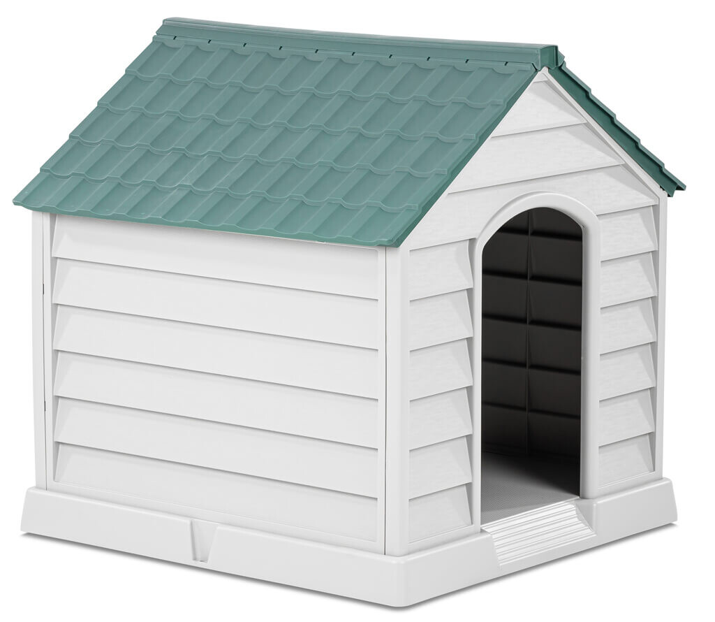  - KÖPEK KULÜBESİ BÜYÜK ŞNY