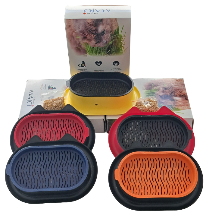 MAJO PLASTİİK KEDİ KULAKLI KEDİ ÇİMİ VE MAMA KABI (YEDEKLİ)