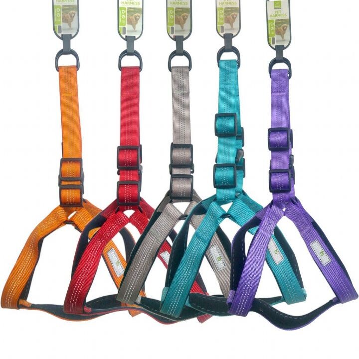 NUNBELL - NUNBELL GÖGÜS TASMASI 2.5MM