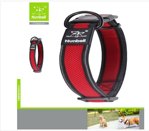  - NUNBELL KÖPEK BOYUN TASMASI AİR MESH 2,5CM