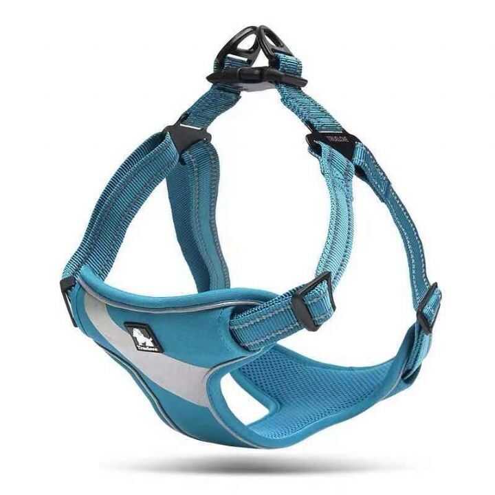 Nunbell Köpek Gögüs Tasması M