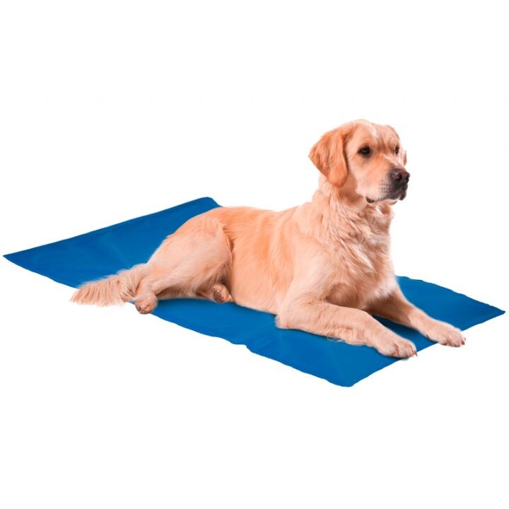 PETPRETTY - NUNBELL KÖPEK SOĞUTUCU YATAK 4XL 75*100CM