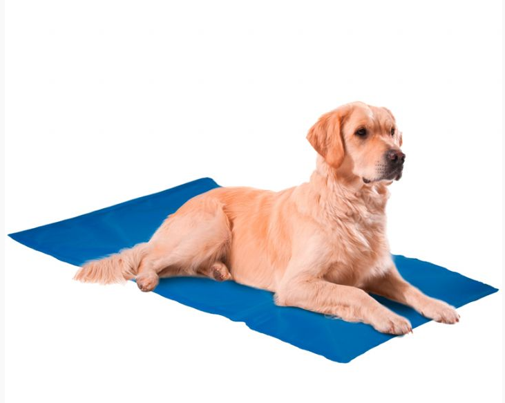  - NUNBELL KÖPEK SOĞUTUCU YATAK XL 50*65CM