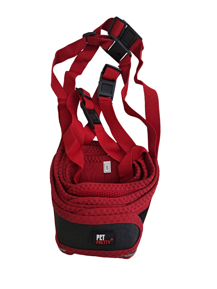 - PETPRETTY AĞIZLIK KIRMIZI 5'Lİ SET  - PETPRETTY AĞIZLIK KIRMIZI 5'Lİ SET