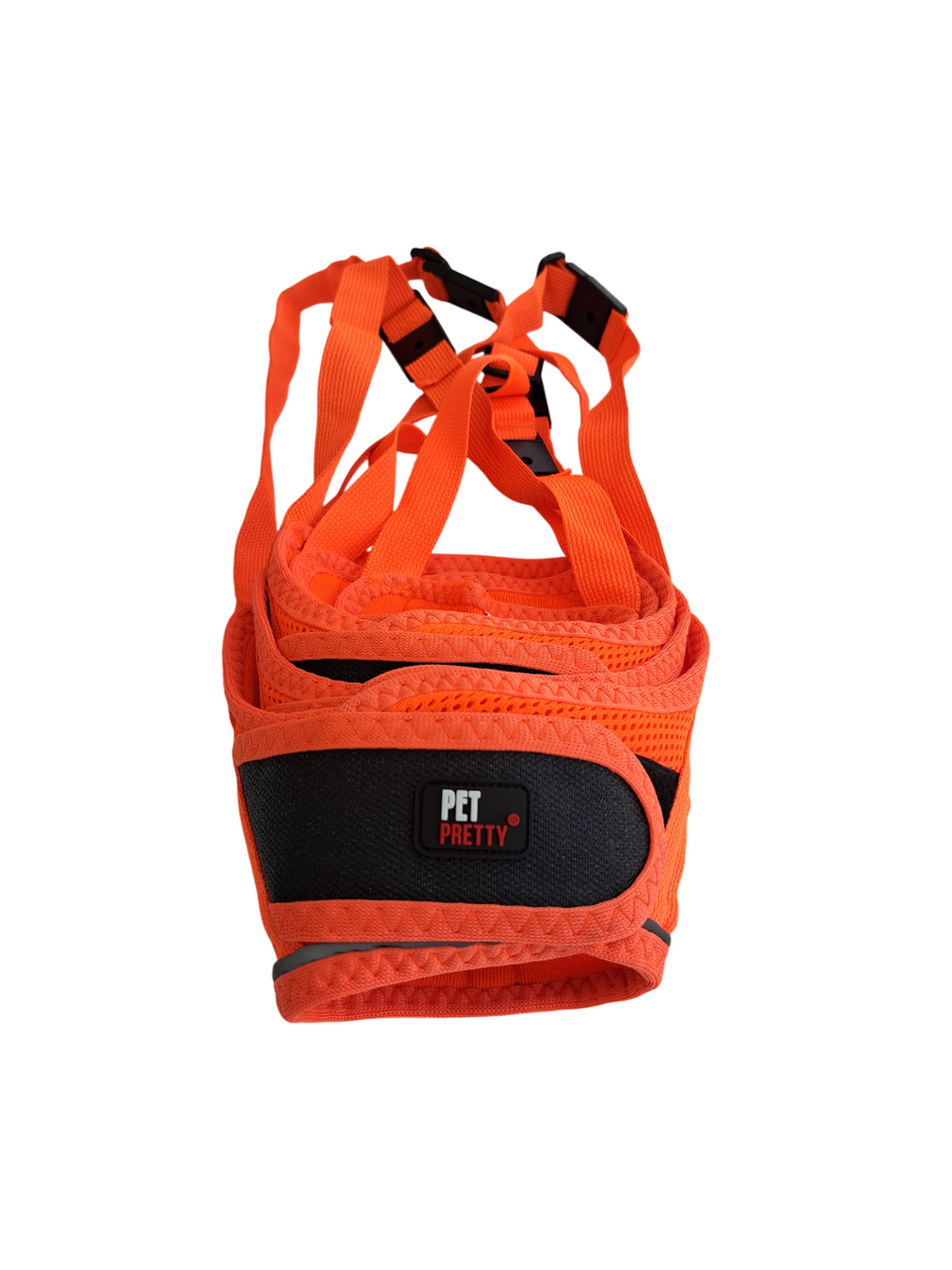 - PETPRETTY AĞIZLIK TURUNCU 5'Lİ SET  - PETPRETTY AĞIZLIK TURUNCU 5'Lİ SET