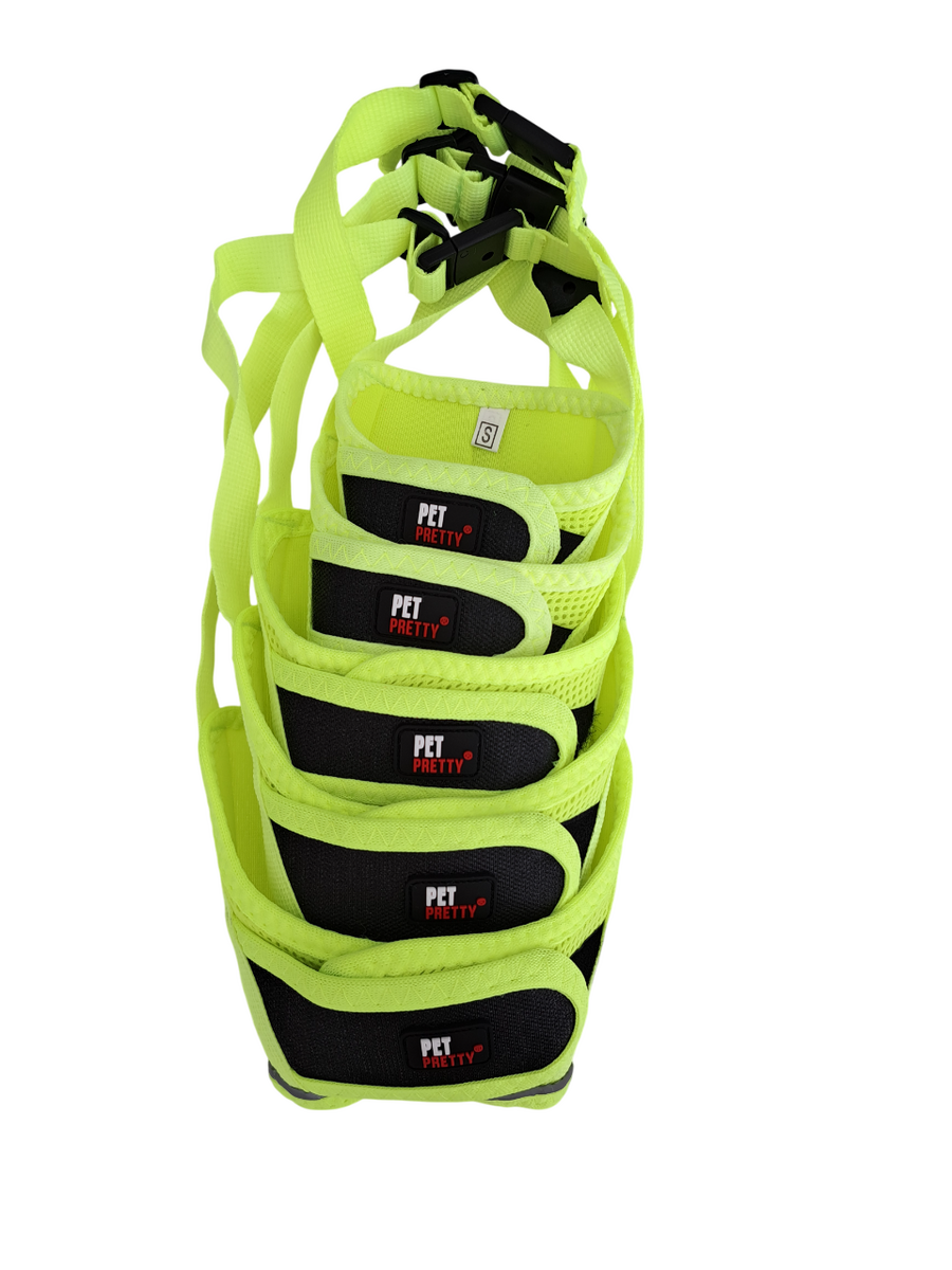 - PETPRETTY AĞIZLIK YEŞİL 5'Lİ SET  - PETPRETTY AĞIZLIK YEŞİL 5'Lİ SET