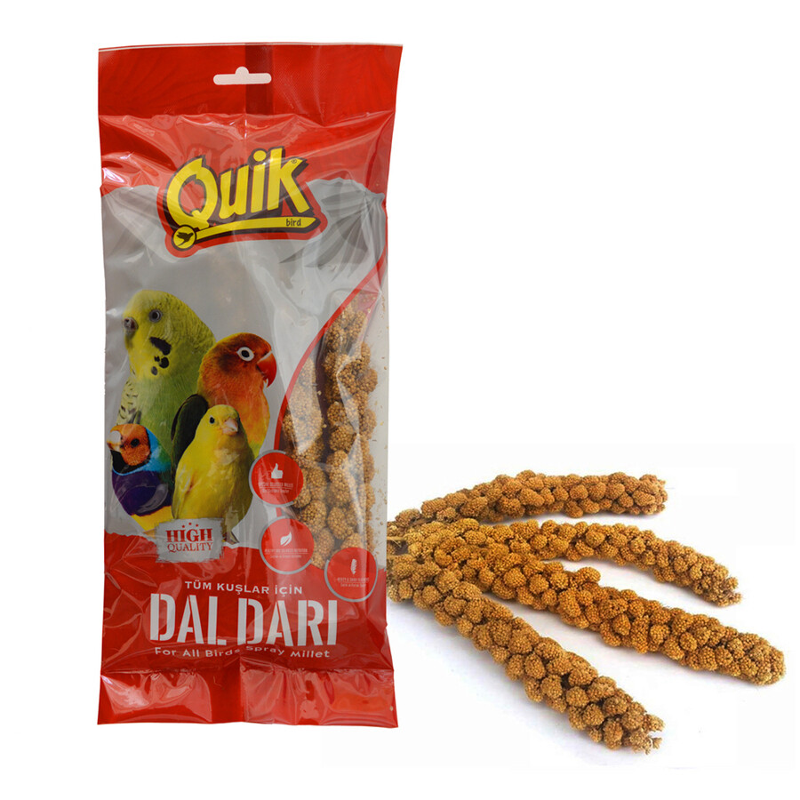 QUİK - QUIK DOĞAL DAL DARI 10 ADET