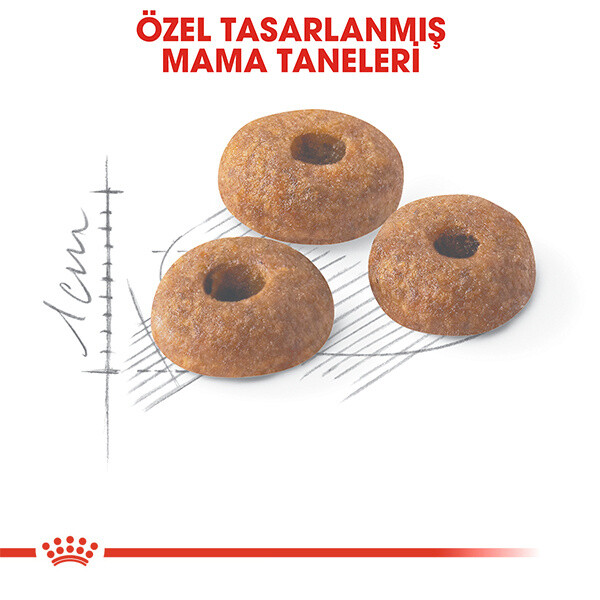 ROYAL CANİN FİT 32 KURU KEDİ MAMASI 15 KG - Thumbnail