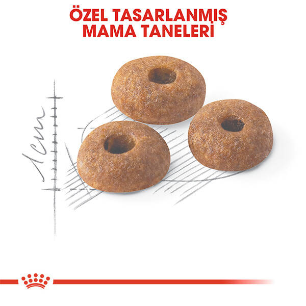 ROYAL CANİN FİT 32 KURU KEDİ MAMASI 2 KG