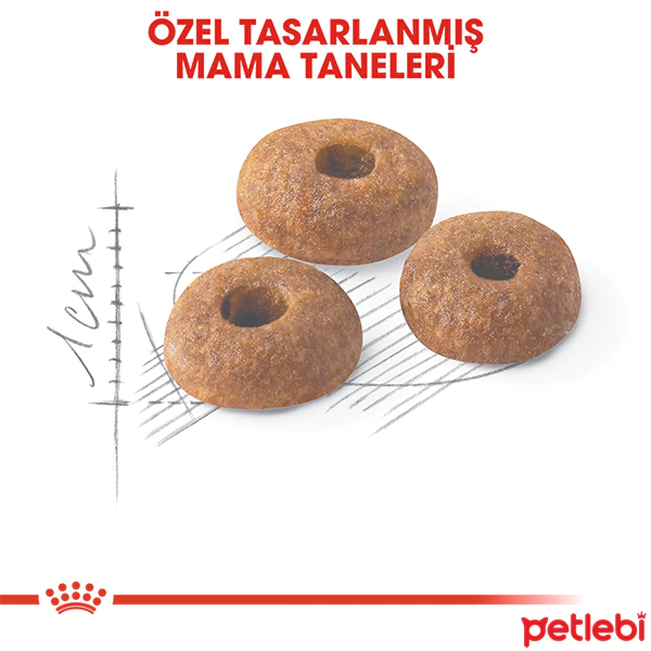 ROYAL CANİN FİT 32 KURU KEDİ MAMASI 2 KG