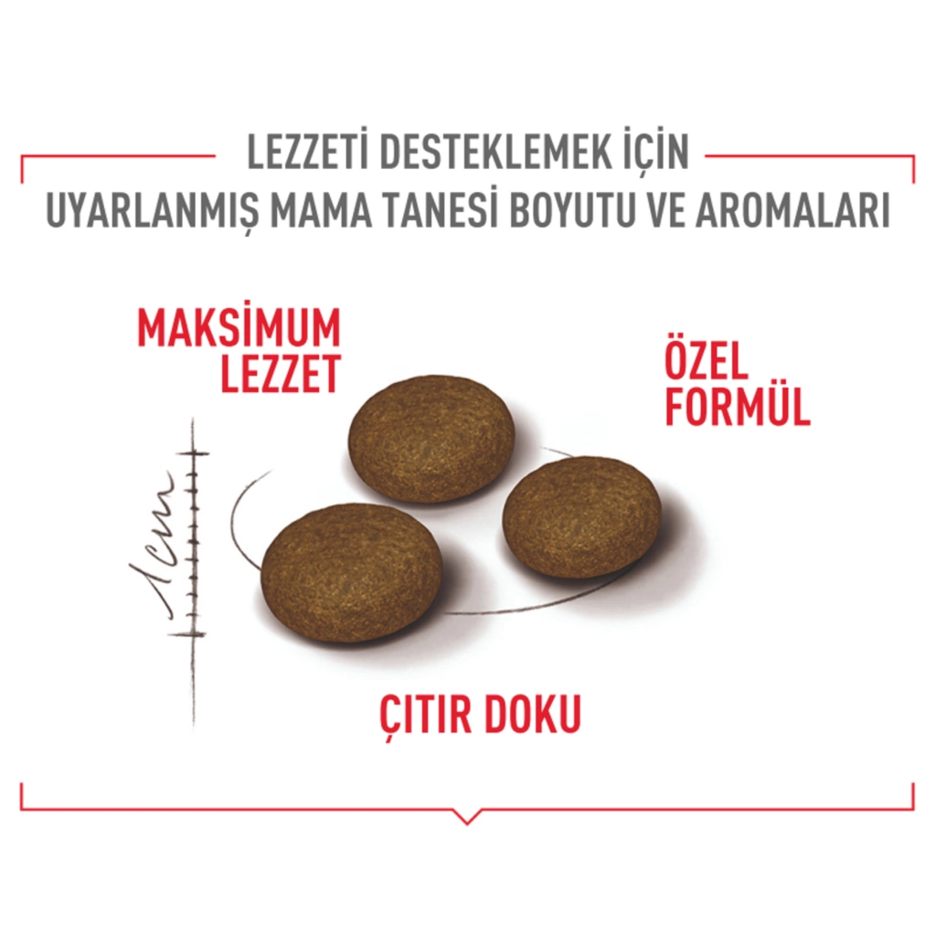 ROYAL CANİN FUSSY EXİGENT KURU KEDİ MAMASI 10 KG