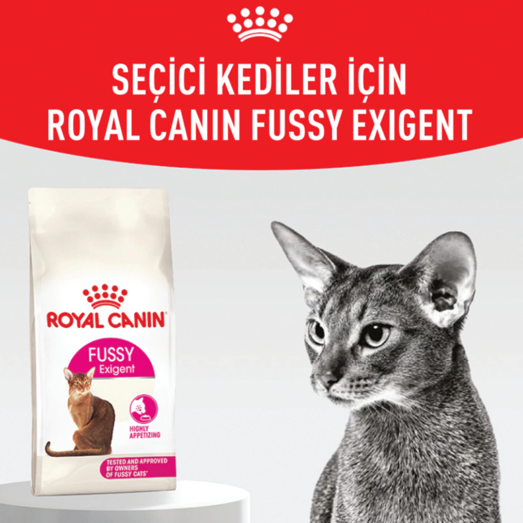 ROYAL CANİN FUSSY EXİGENT KURU KEDİ MAMASI 10 KG - Thumbnail