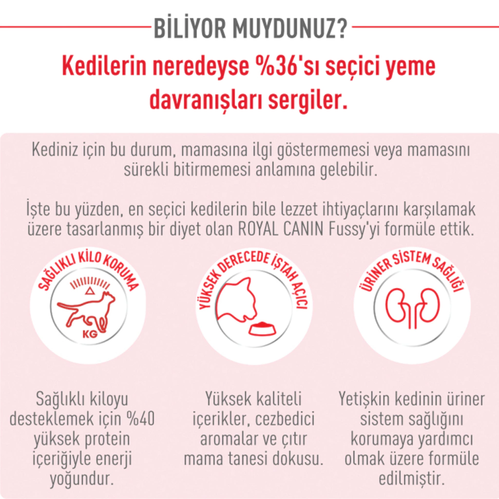 ROYAL CANİN FUSSY EXİGENT KURU KEDİ MAMASI 10 KG