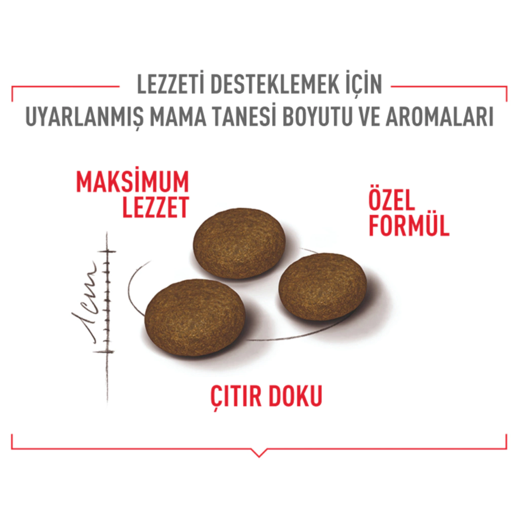ROYAL CANİN FUSSY EXİGENT KURU KEDİ MAMASI 2 KG - Thumbnail