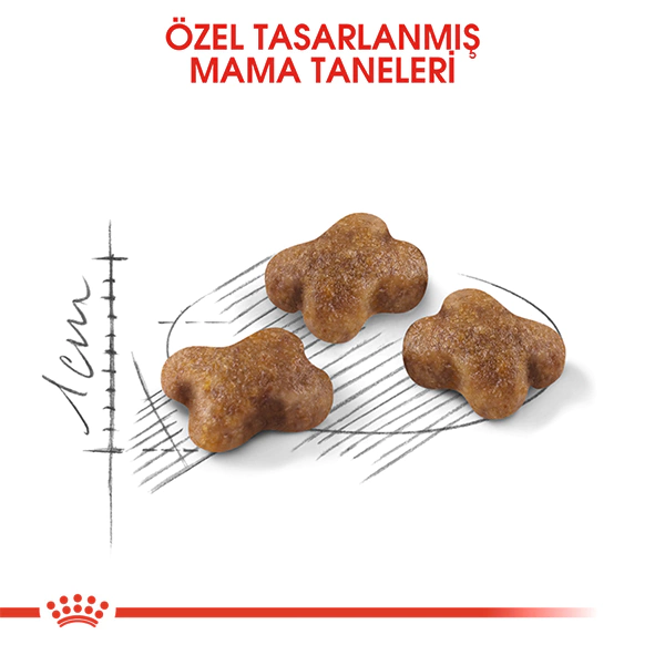 ROYAL CANİN KİTTEN YAVRU KEDİ MAMASI 10 KG - Thumbnail