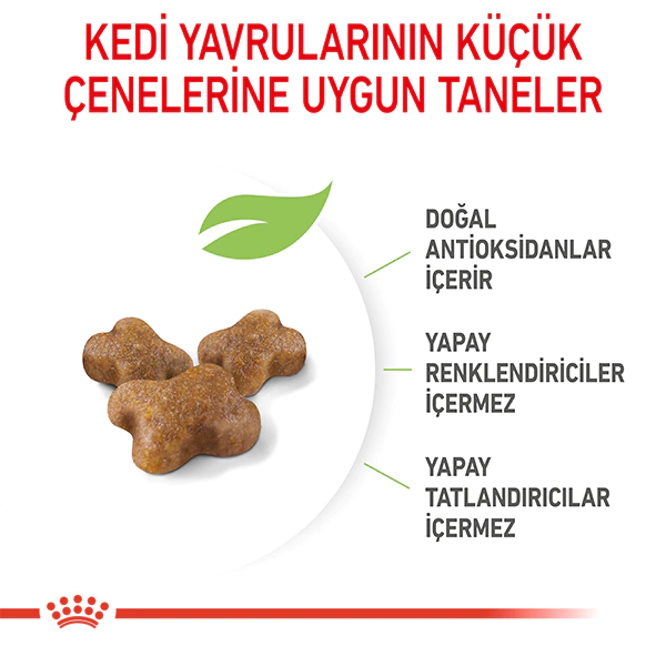 ROYAL CANİN KİTTEN YAVRU KURU KEDİ MAMASI 2 KG - Thumbnail