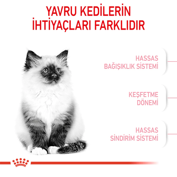 ROYAL CANİN KİTTEN YAVRU KURU KEDİ MAMASI 2 KG - Thumbnail