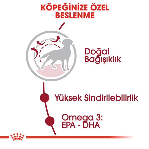 ROYAL CANİN MEDIUM ADULT ORTA IRK YETİŞKİN KÖPEK KURU MAMASI 15 KG
