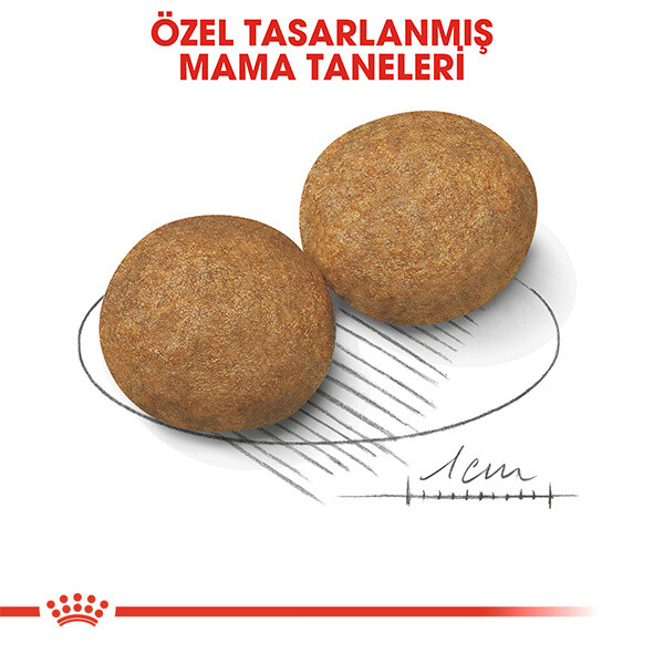 ROYAL CANİN MEDIUM ADULT ORTA IRK YETİŞKİN KÖPEK KURU MAMASI 15 KG - Thumbnail